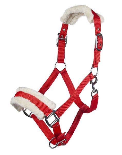 Vue rapprochée d'un licol avec doublure en peluche