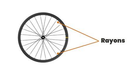 Schéma technique d'une roue de chariot à rayons