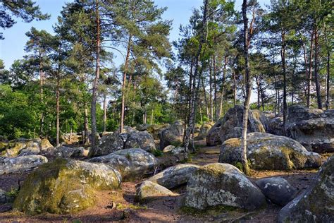 Paysage de la Forêt de Fontainebleau avec ses rochers