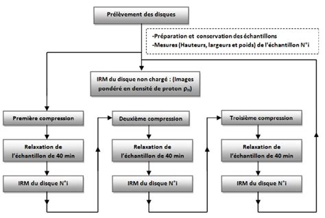 Schéma simplifié du protocole R-CHOP