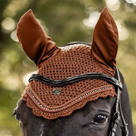 Cheval portant un bonnet anti-mouches dans un pré