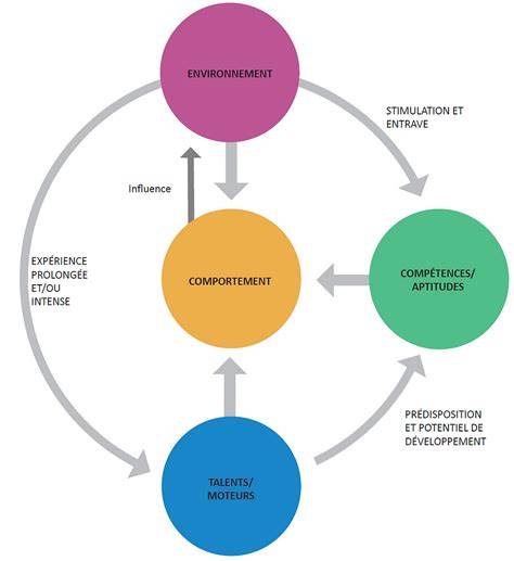 Diagramme montrant l'influence des différents facteurs sur la performance d'un cheval