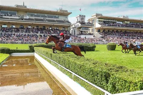 Un parieur analysant des courses hippiques