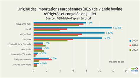 Infographie montrant la répartition des importations de viande chevaline en France par continent
