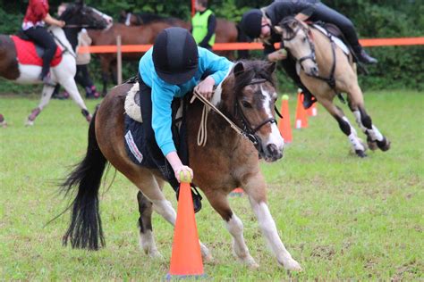 Pony Mounted Games competition