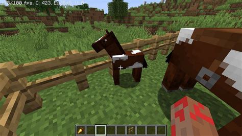Cheval dans un paysage Minecraft