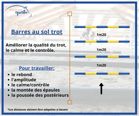 Cheval franchissant des barres au sol