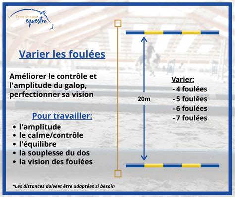 Diagramme illustrant les amplitudes de foulées d'un cheval au trot et au galop