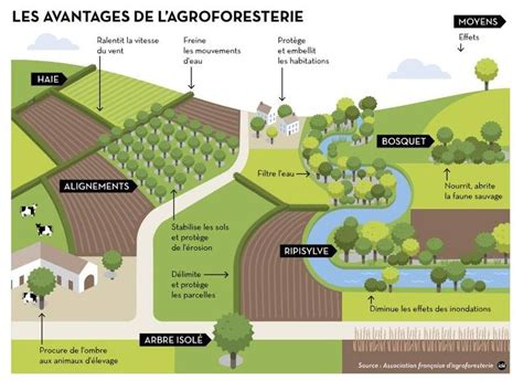 Illustration de pratiques agroécologiques (agroforesterie, permaculture)
