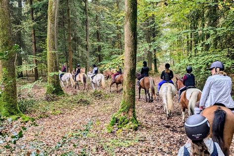 Groupe de cavaliers en balade dans la forêt