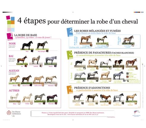 Tableau comparatif des robes de base du cheval