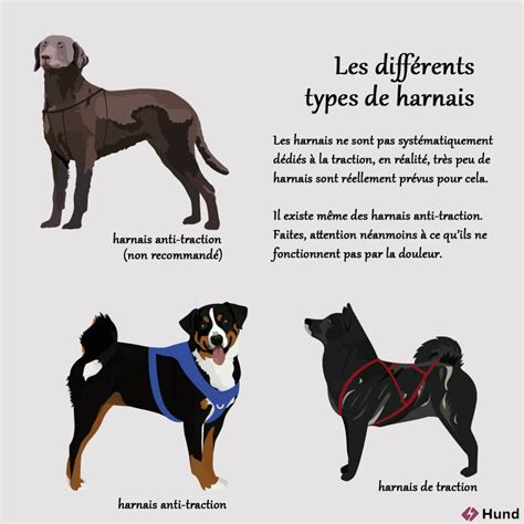Comparaison schématique de différents types de harnais de traction pour chiens