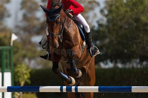 Jockey et cheval sautant un obstacle
