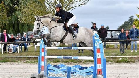Cavaliers et chevaux en action lors d'un concours de saut d'obstacles