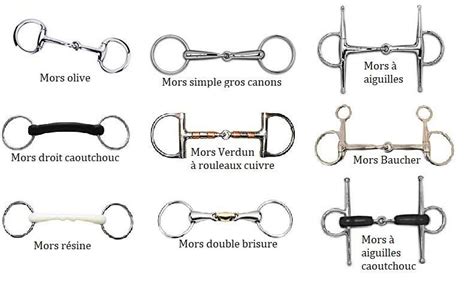 Différents types de mors pour chevaux