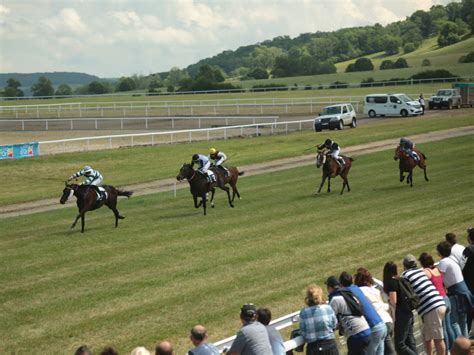 Hippodrome de Vitteaux en pleine course