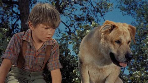 une zoothérapeute interagissant avec un chien et un enfant