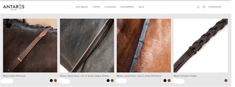 Diversité de selles et d'équipements équestres, incluant des rênes