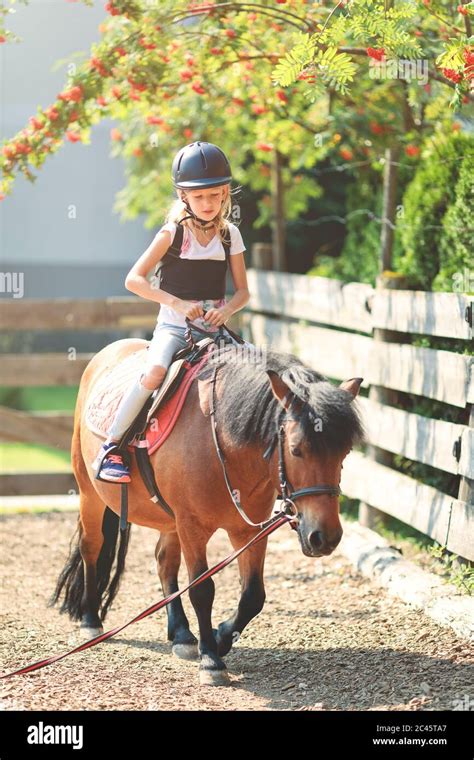 Jeune fille brossant un poney