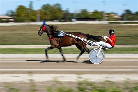 Cheval galopant sur une piste de course