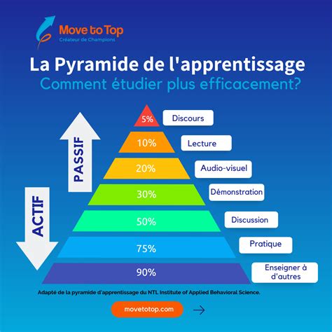 Diagramme montrant les étapes d'apprentissage de l'équitation