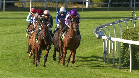 chevaux de course en pleine action