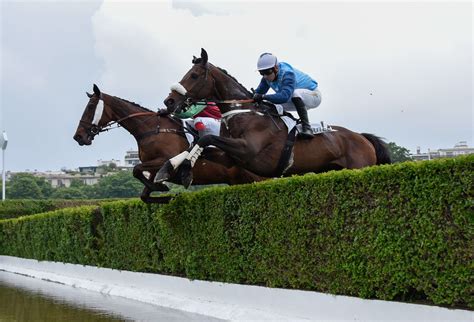 Hippodrome d'Auteuil avec des haies