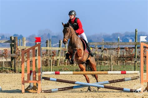 Cheval franchissant une rivière en CSO