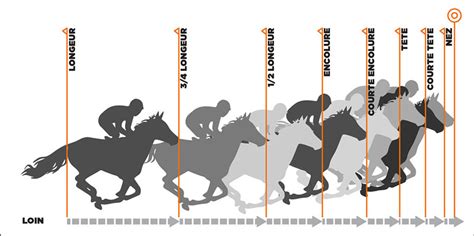 Schéma des différentes courses hippiques