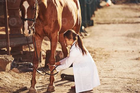 Vétérinaire examinant un cheval avec un endoscope