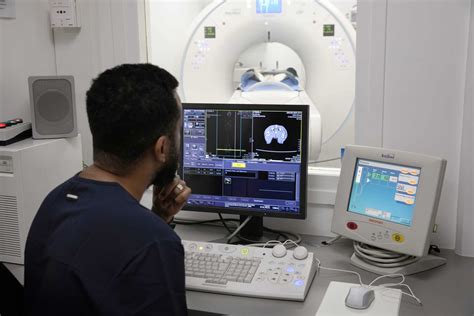 Vétérinaire consultant un scanner sur un ordinateur