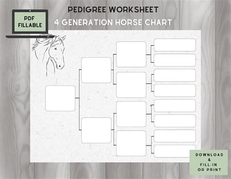 Appaloosa horse pedigree chart