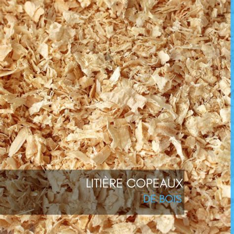 Copeaux de bois comme litière pour poules