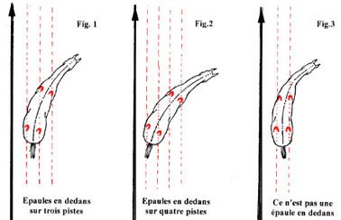 Cavalier effectuant des épaules en dedans
