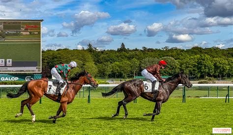 Hippodrome avec des chevaux au départ