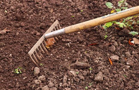 Sol nu au printemps avant semis