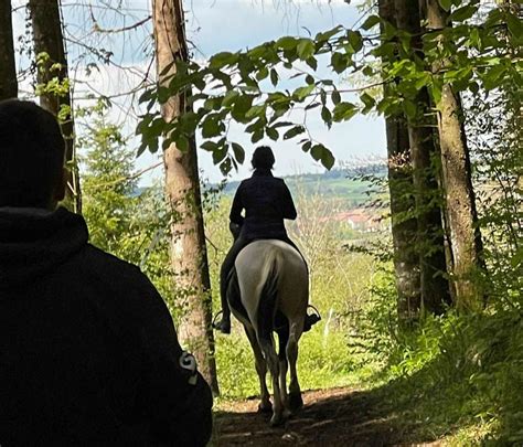 Groupe de cavaliers en randonnée équestre en forêt
