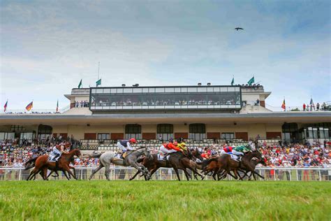 Hippodrome et chevaux au galop