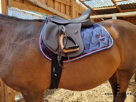 Cheval et cavalier en action avec une selle mixte Wintec Lite