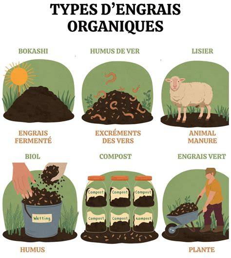 Divers types de matières organiques pour épandage
