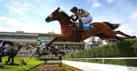 Cheval de course lors d'un Grand Cross