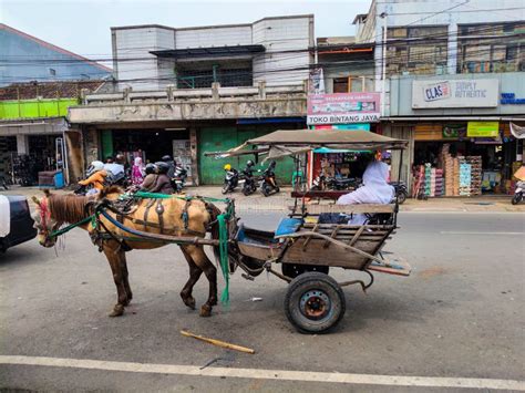 Horse-drawn cart in a busy Casablanca street