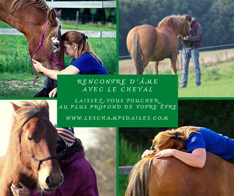 Cheval et thérapeute interagissant