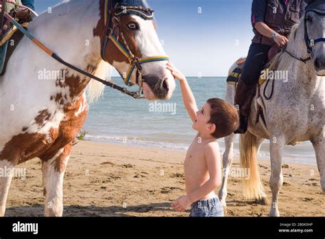 Enfant caressant un cheval