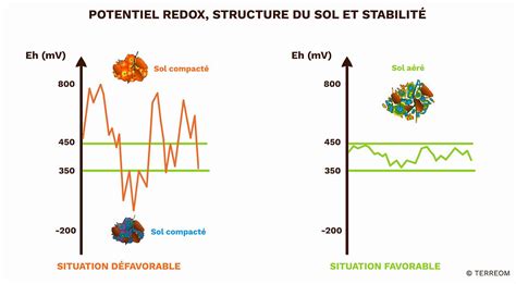 Graphique illustrant l'importance du pH et du Redox pour la qualité de l'eau