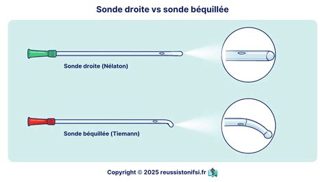 Comparaison visuelle : Sonde neuve vs Sonde usagée