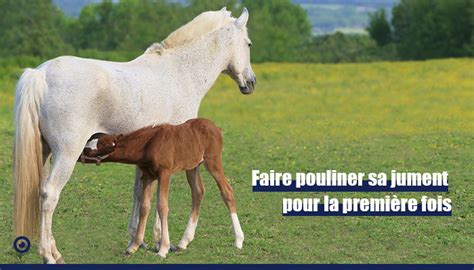 Une jument s'enfuyant d'un paddock