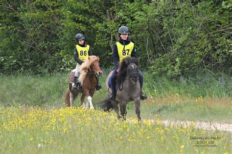 Clara et son poney sur un sentier de randonnée