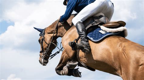 Cavalier portant un casque d'équitation lors d'un saut