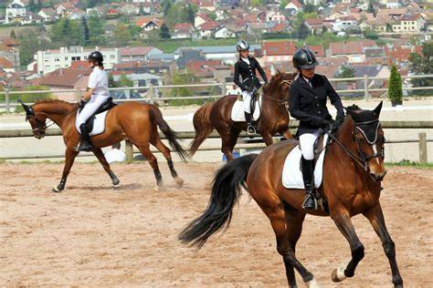 Cavaliers et chevaux en pleine compétition de dressage